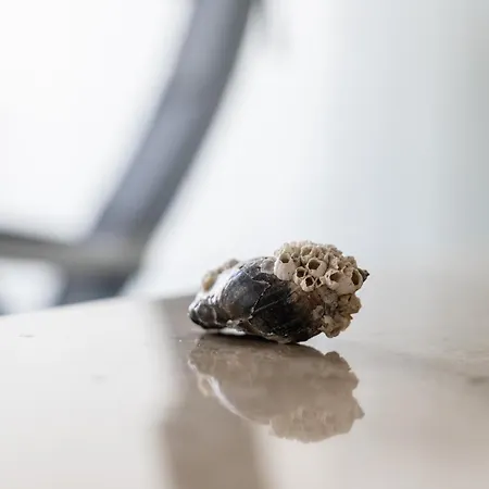 Boern Hafenkajuete Laboe